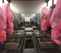 Audi Brüssel 2016 Audi Brüssel 2016